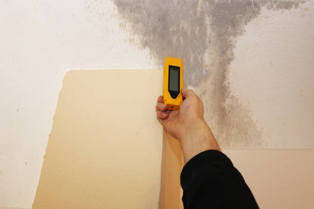 Best Residential Mold Inspection & Testing  in Waseca, MN