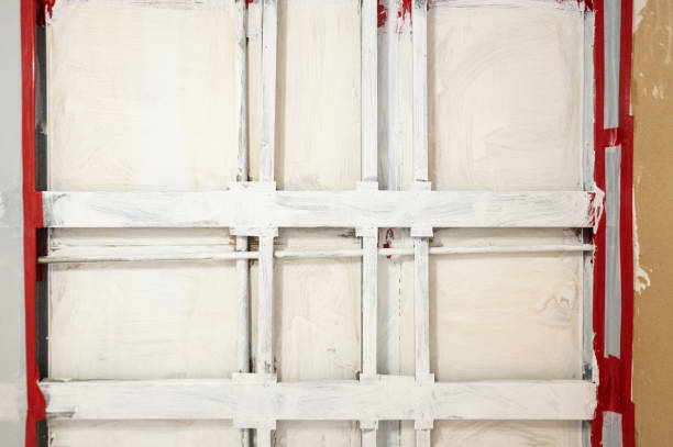 Best Industrial Mold Remediation  in Waseca, MN