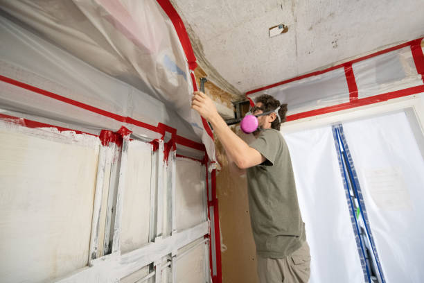  Waseca, MN Mold Removal Pros