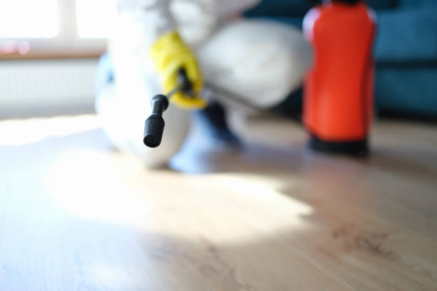 Best Real Estate Mold Inspection  in Waseca, MN