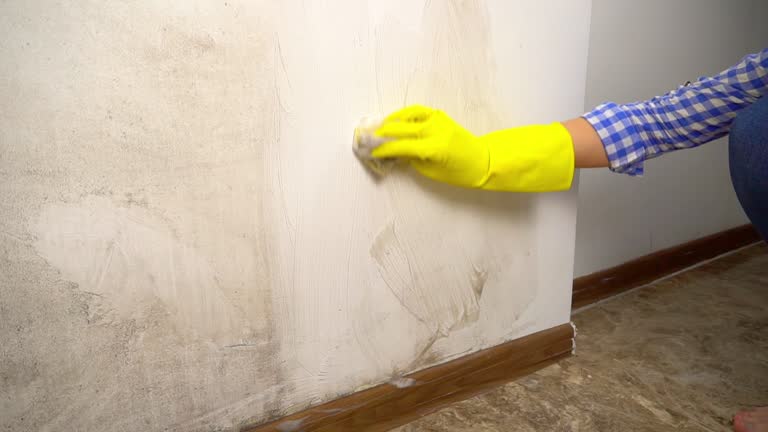 Best Biohazard Mold Removal  in Waseca, MN